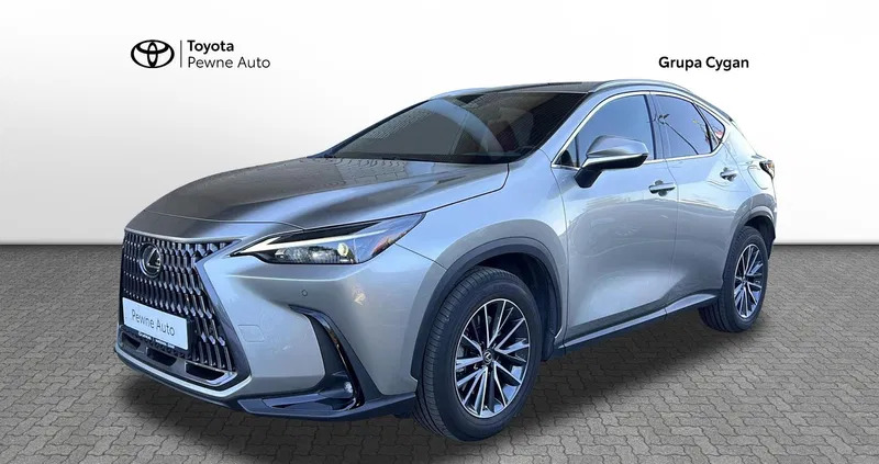 lexus Lexus NX cena 263900 przebieg: 12079, rok produkcji 2023 z Gubin